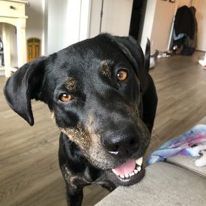 Meet your Posher, Amber